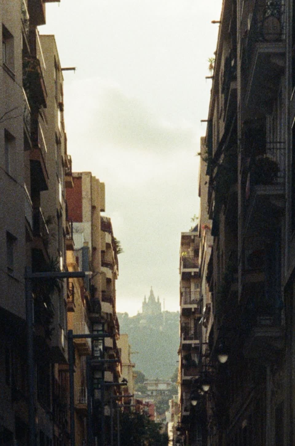 Leica M6 — плёнка · 3 июля 2026 г.