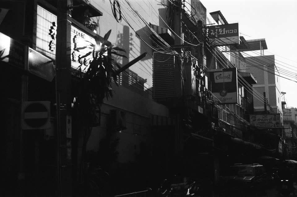 Leica M6 — плёнка · 5 июля 2026 г.